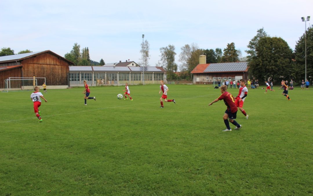 Blitzstart beim 4:1 Heimsieg