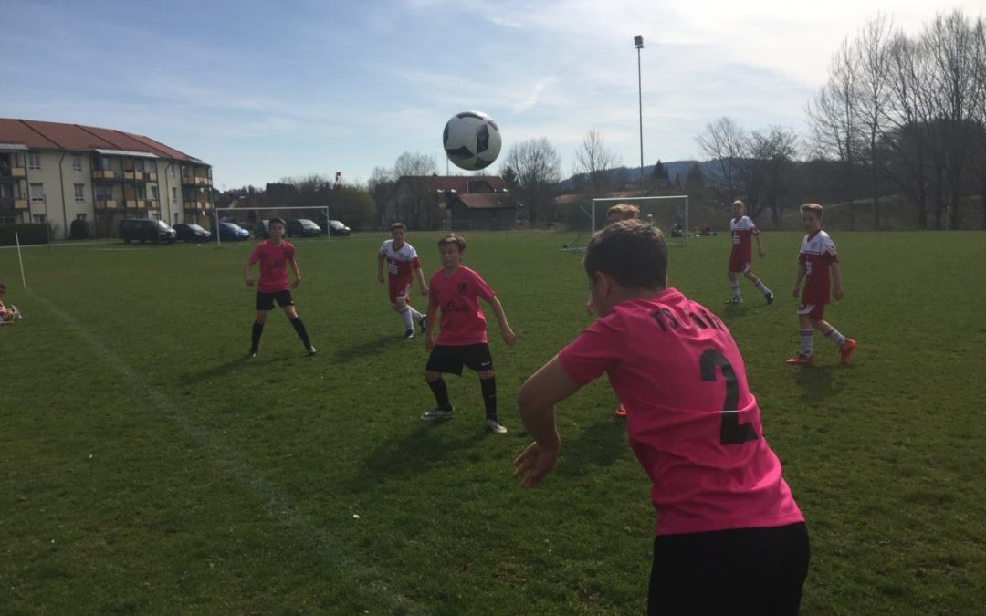 Zweiter Sieg im zweiten Spiel, 4:2 Heimsieg gegen den SV Fuchstal